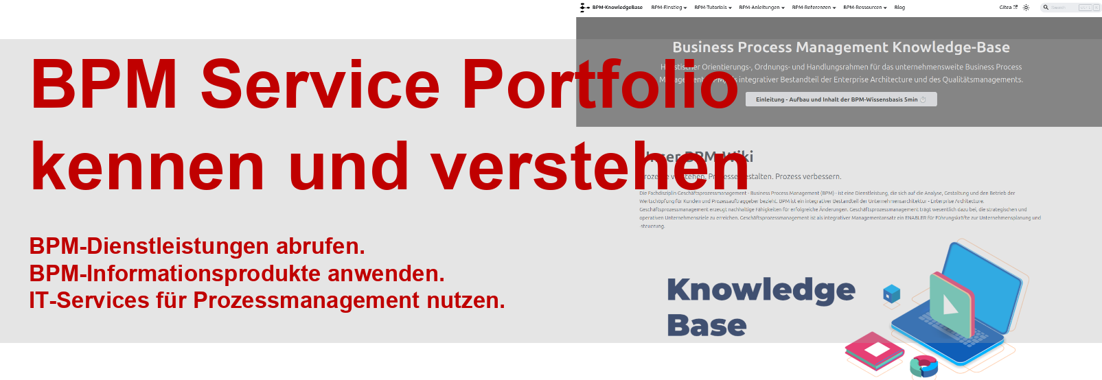 platinus-Teaser_BPM-Services