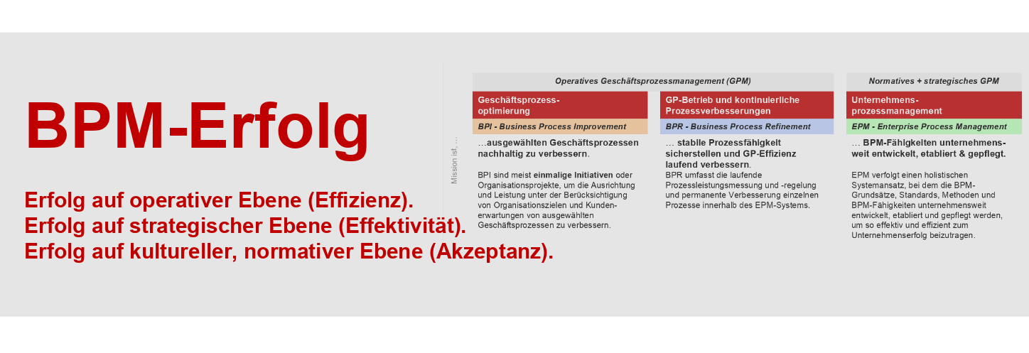 platinus_BPM-Awareness-Erfolg