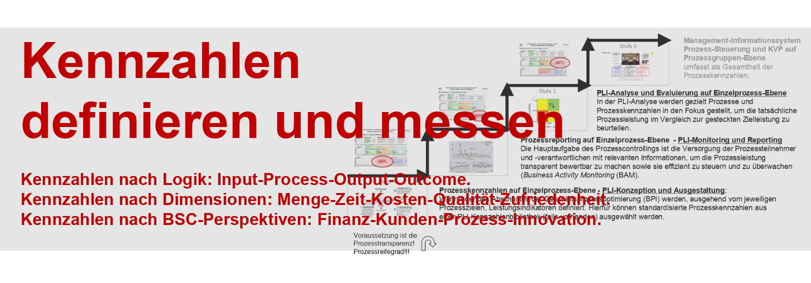 platinus_Prozesskennzahlen