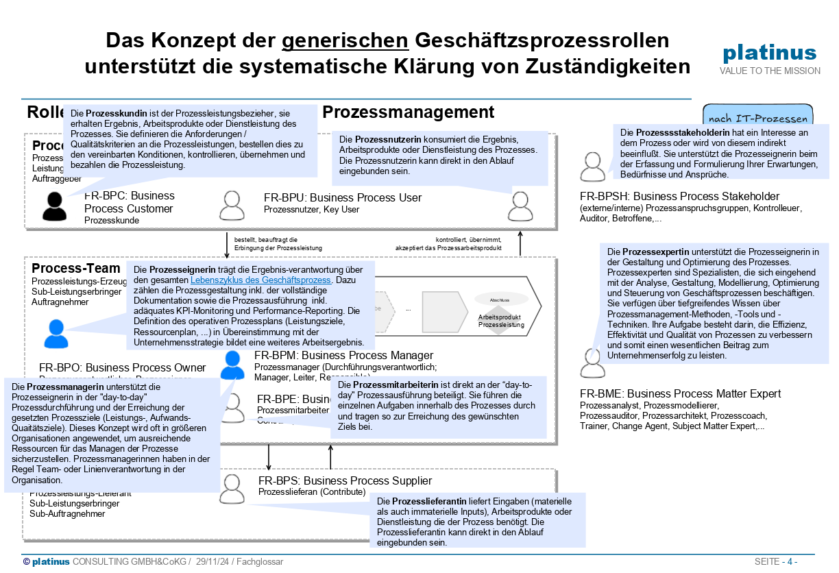 platinus_Rollenlandkarte_generische-BPM-Bubbles