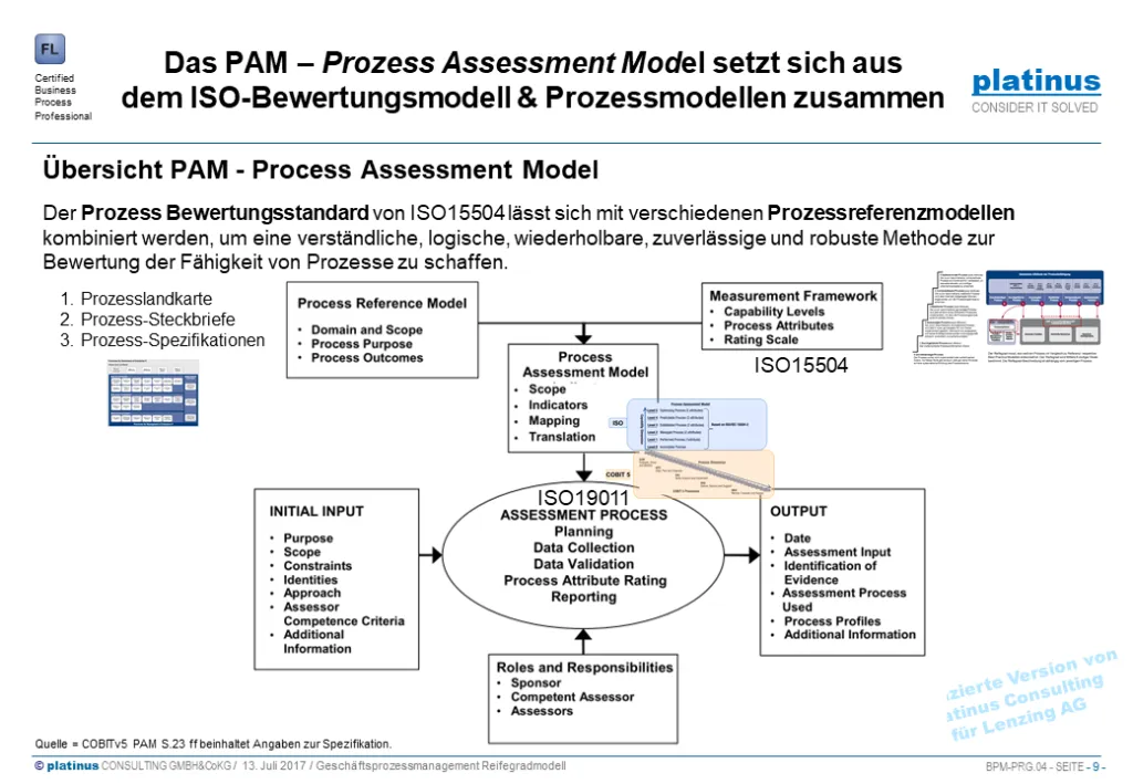 platinus_prozessreifegrad_modell
